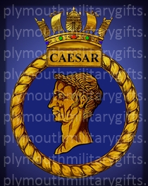 HMS Caesar Magnet